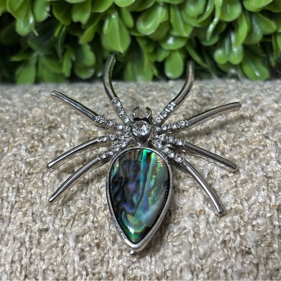 Jewelry - Abalone mother of pearl spider Brooch